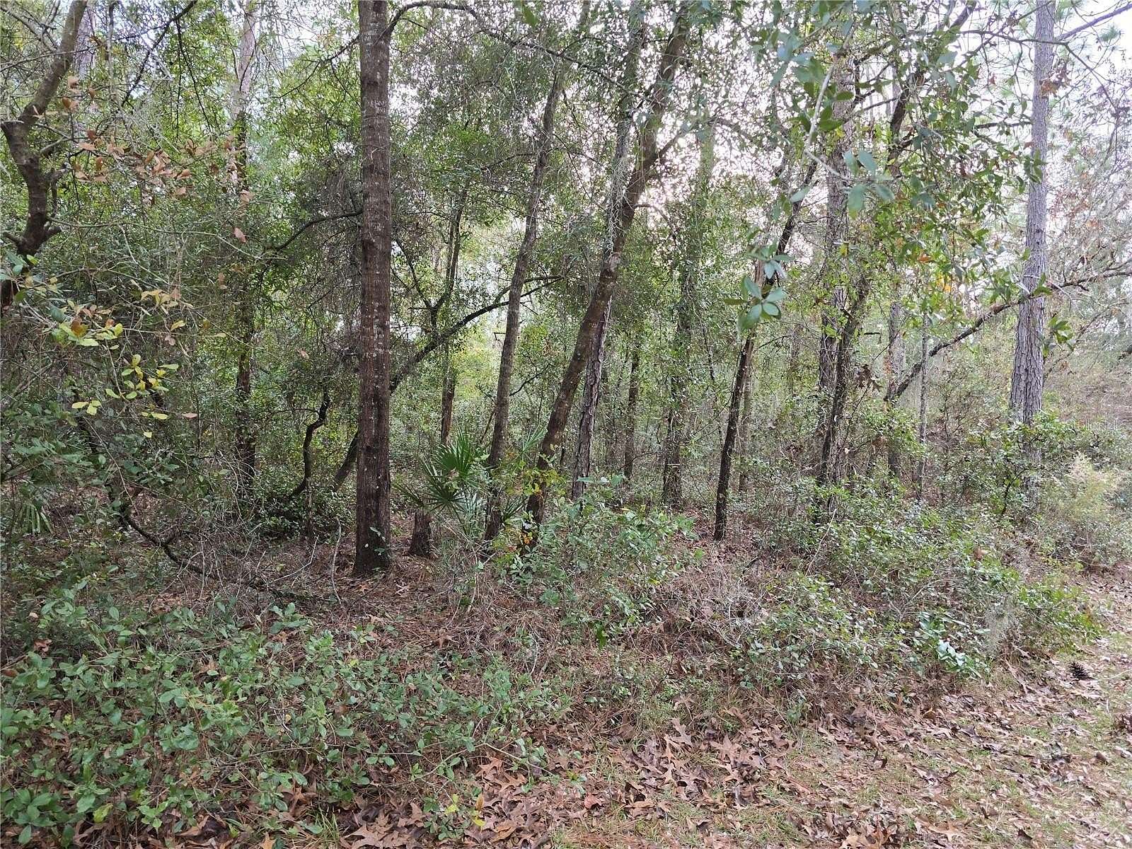 1.25 Acres of Land for Sale in Dunnellon, Florida