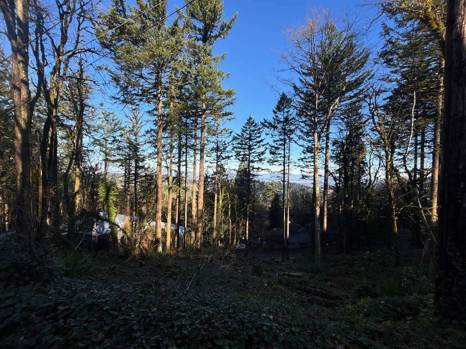 0.434 Acres of Residential Land for Sale in Portland, Oregon