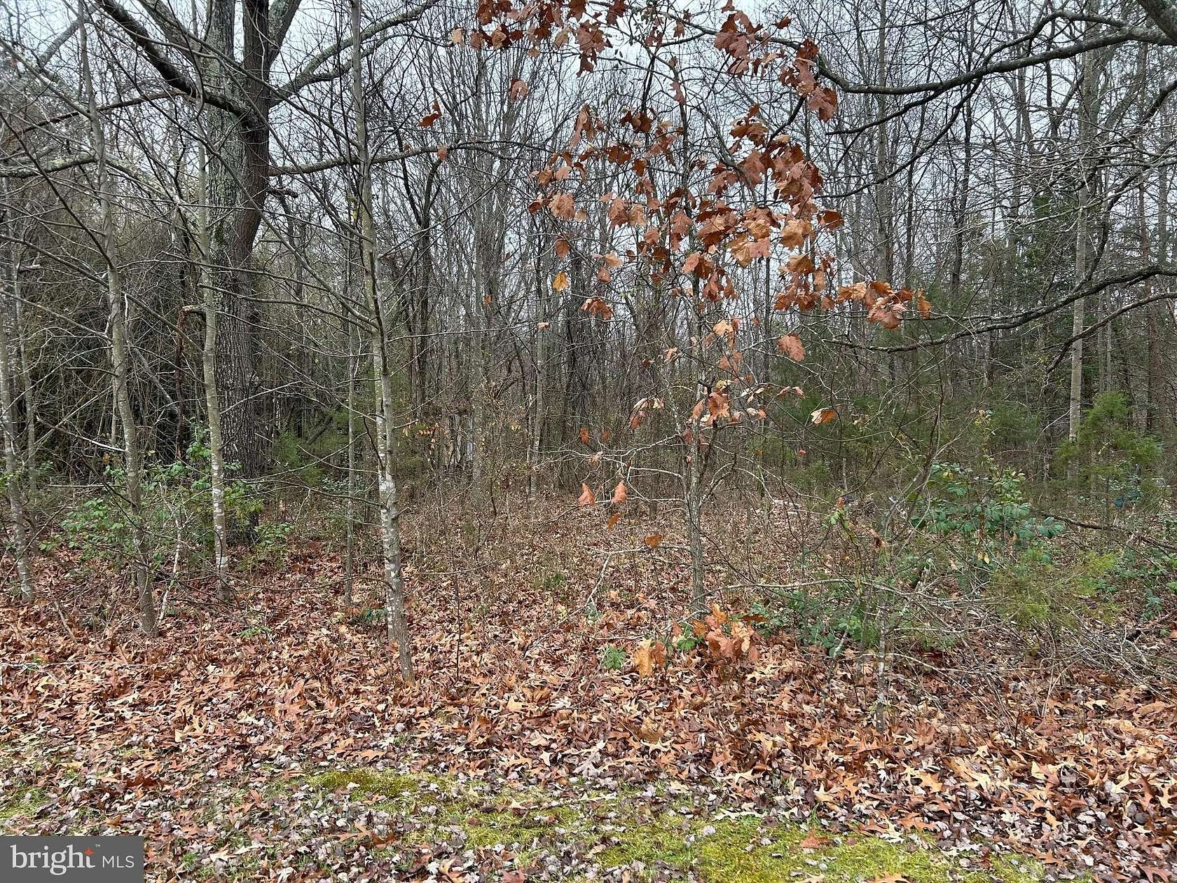 1.99 Acres of Land for Sale in Rixeyville, Virginia