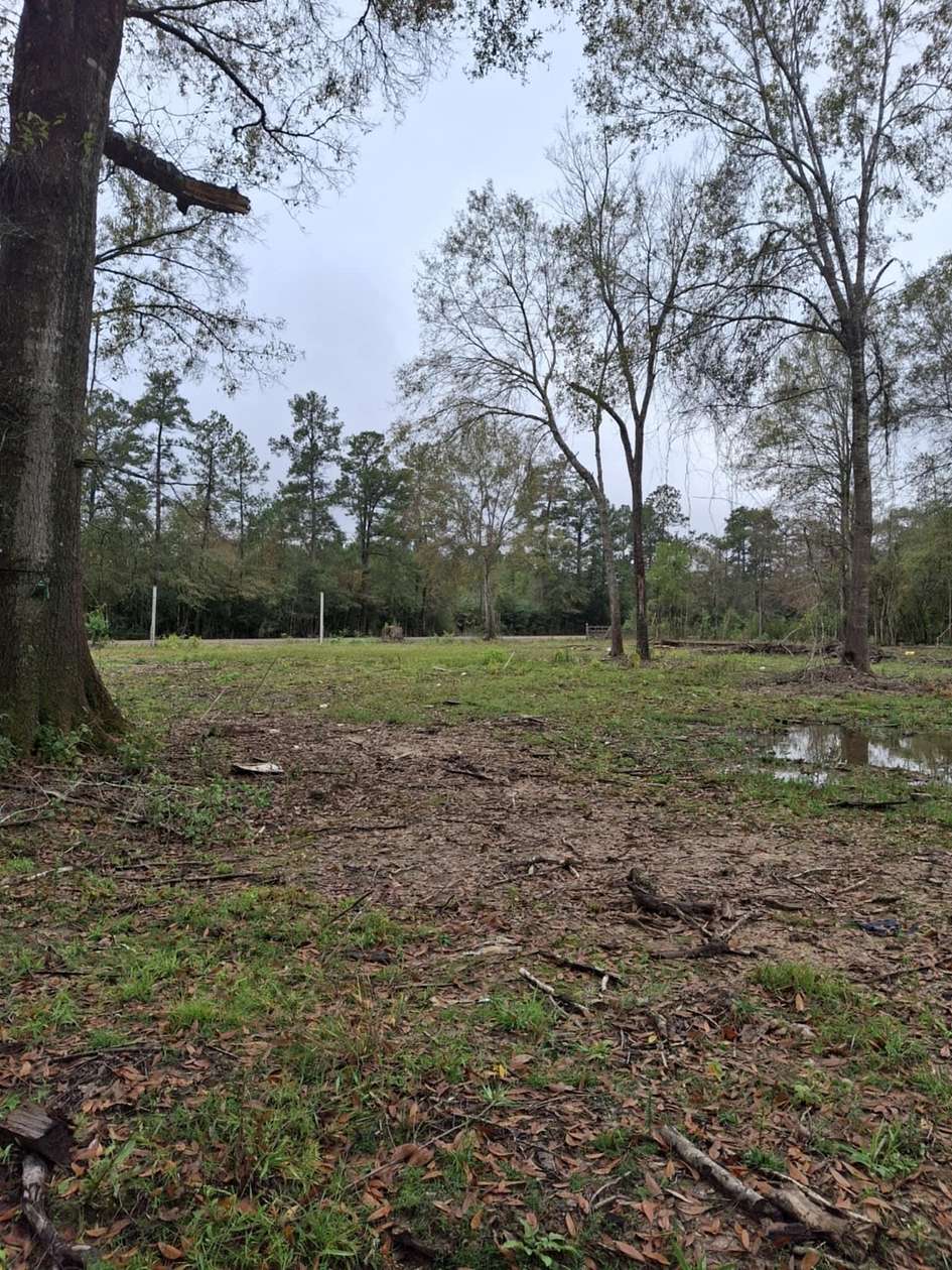 Residential Land for Sale in Kountze, Texas