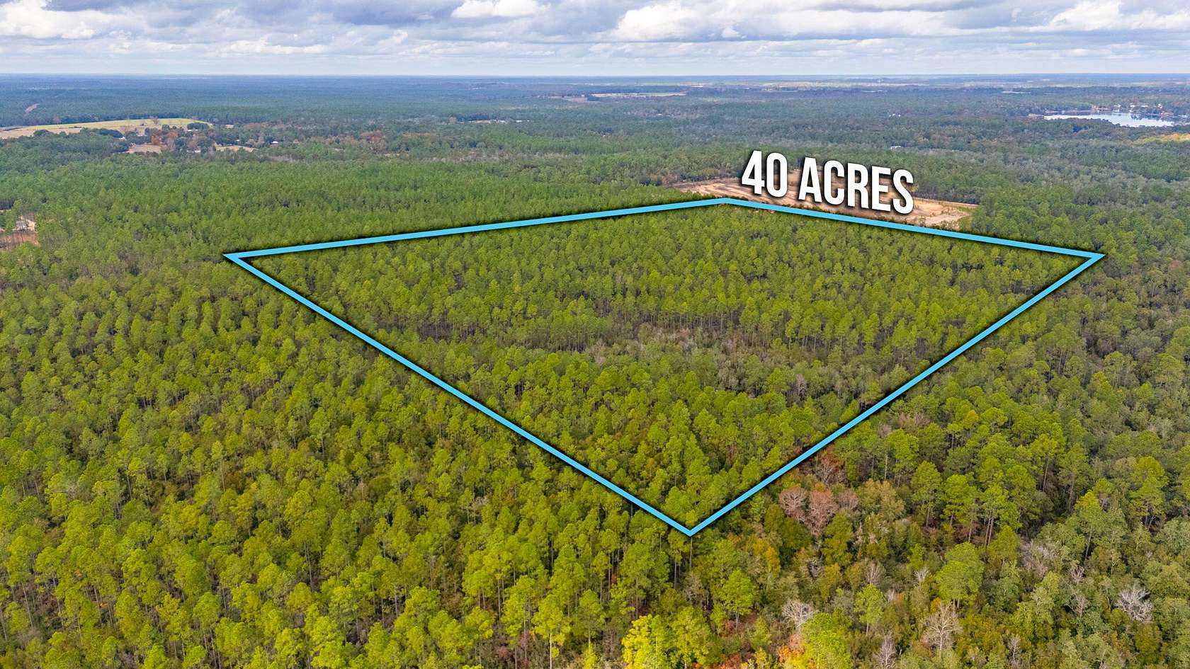 40 Acres of Land for Sale in DeFuniak Springs, Florida