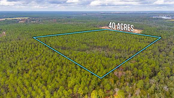 40 Acres of Land for Sale in DeFuniak Springs, Florida