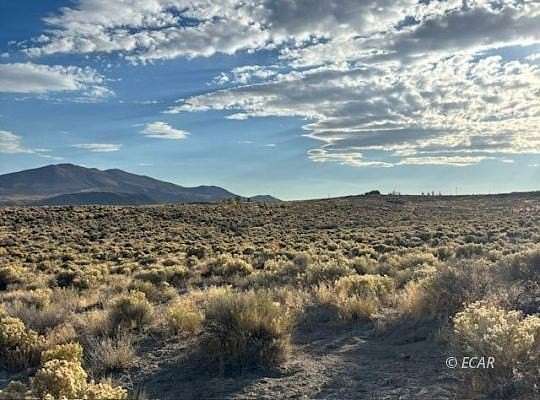 2.44 Acres of Residential Land for Sale in Ryndon, Nevada