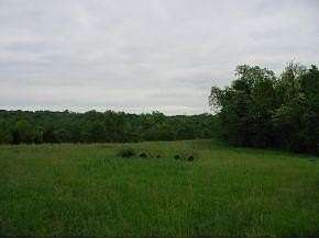 175 Acres of Land for Sale in Aurora, Indiana