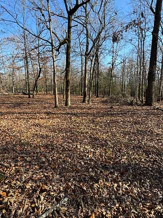 40 Acres of Recreational Land for Sale in Ravenden Springs, Arkansas