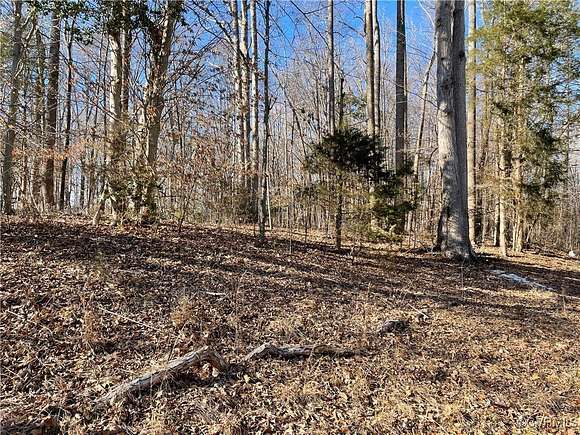 0.215 Acres of Land for Sale in Ruther Glen, Virginia