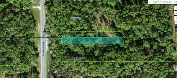 0.37 Acres of Land for Sale in Polk City, Florida