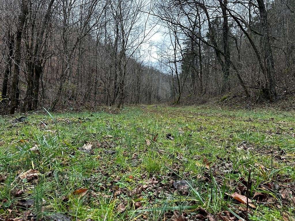 65 Acres of Recreational Land for Sale in Duffield, Virginia