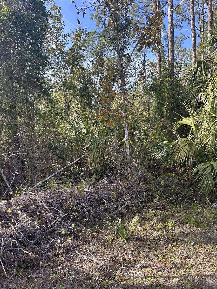 0.4 Acres of Residential Land for Sale in Suwannee, Florida