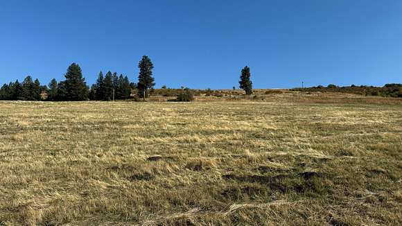 4.24 Acres of Land for Sale in Grangeville, Idaho