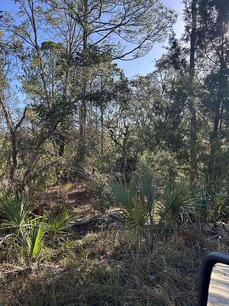 0.27 Acres of Residential Land for Sale in Suwannee, Florida