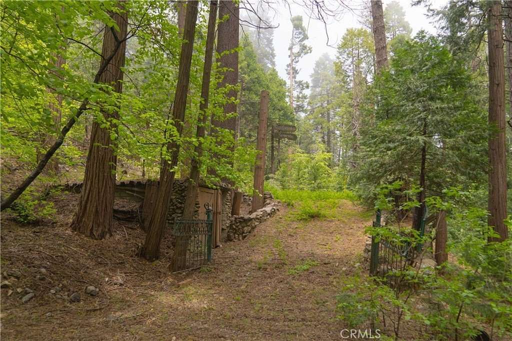 0.351 Acres of Land for Sale in Blue Jay, California