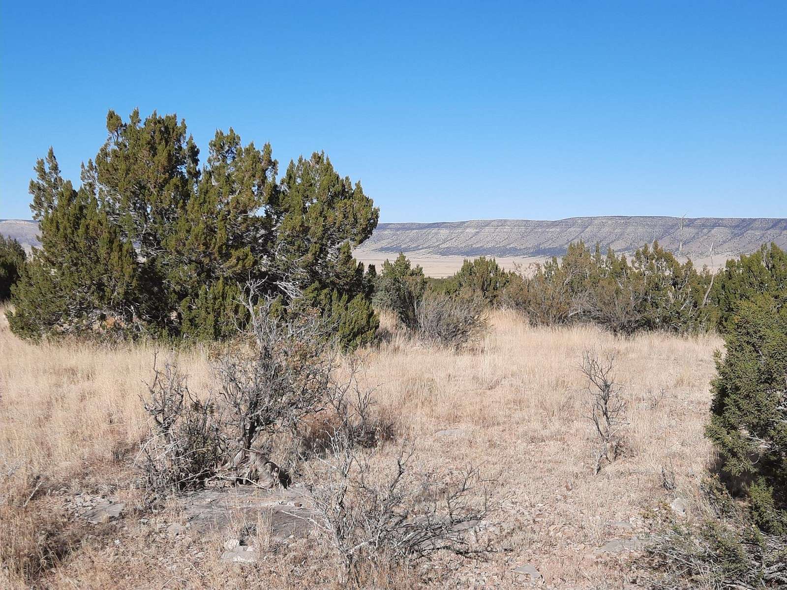 1.33 Acres of Residential Land for Sale in Seligman, Arizona