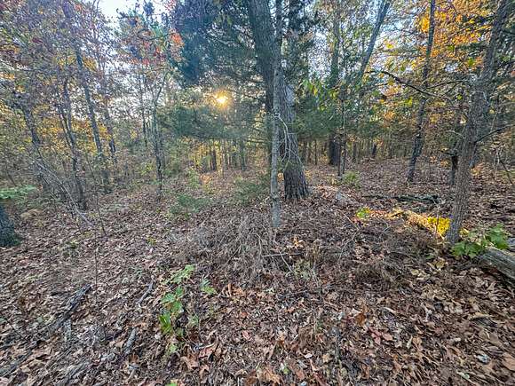 0.29 Acres of Land for Sale in Bella Vista, Arkansas