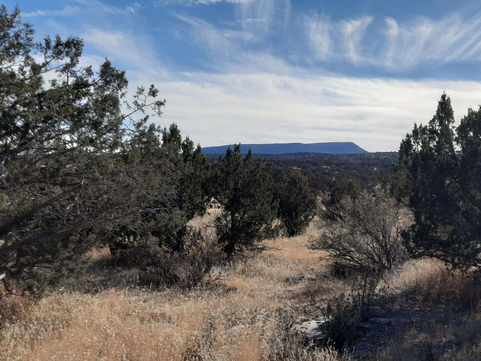 1.33 Acres of Land for Sale in Seligman, Arizona