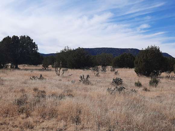 1 Acre of Land for Sale in Seligman, Arizona