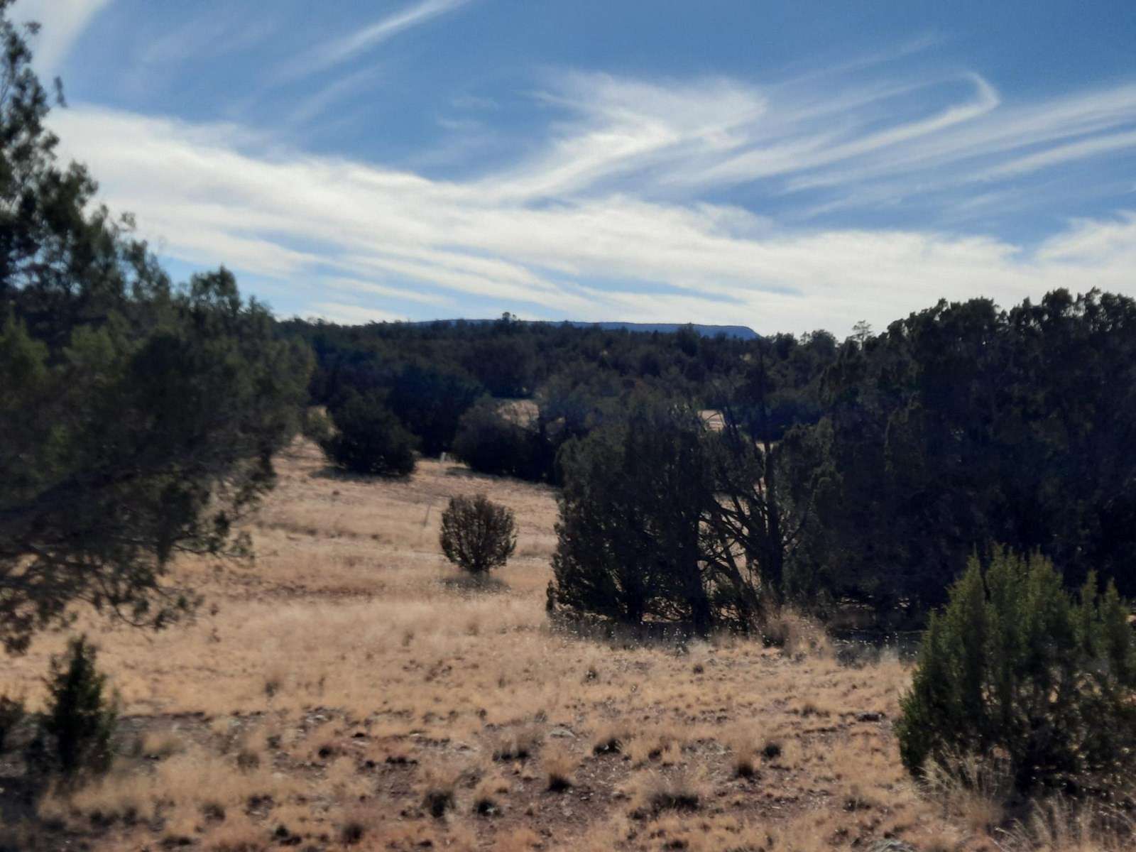 1 Acre of Land for Sale in Seligman, Arizona