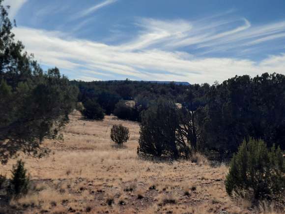 1 Acre of Land for Sale in Seligman, Arizona