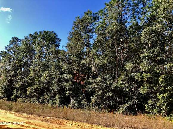 0.22 Acres of Residential Land for Sale in Interlachen, Florida