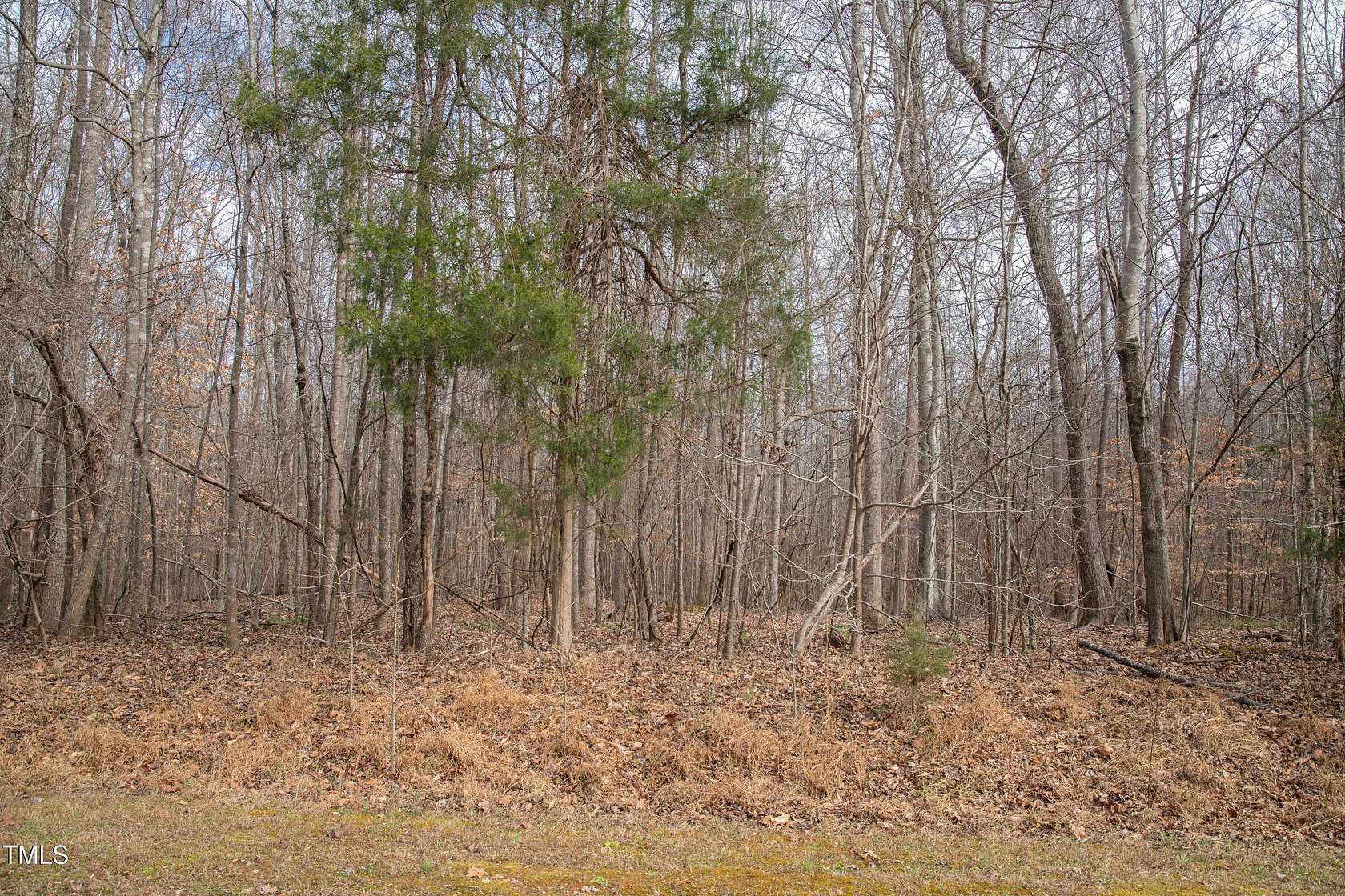 1.3 Acres of Residential Land for Sale in Timberlake, North Carolina