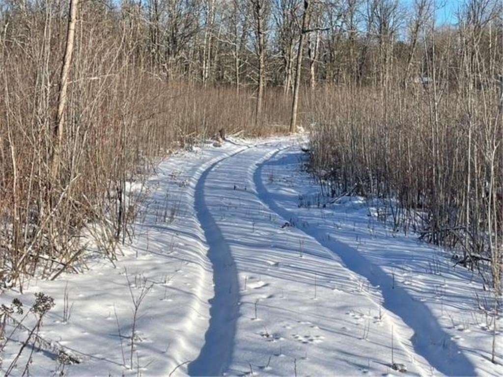 24 Acres of Land for Sale in Blackberry Township, Minnesota