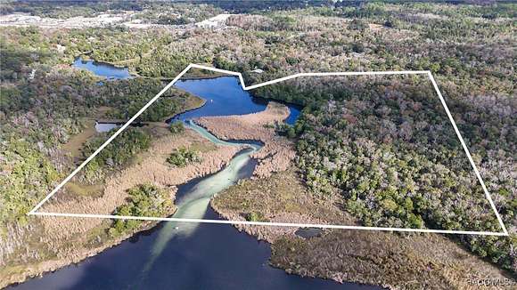 46 Acres of Land with Home for Sale in Homosassa, Florida