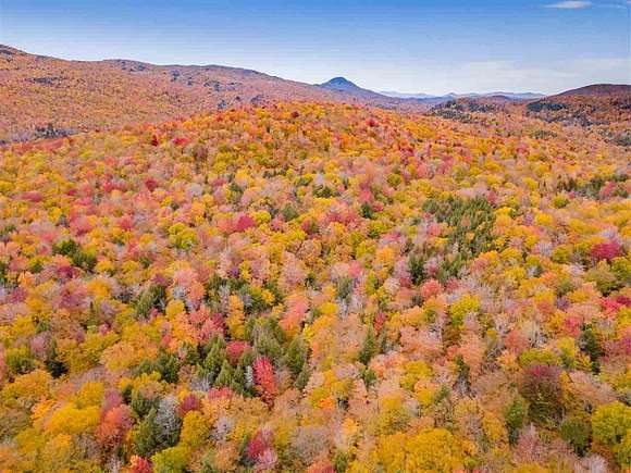 90 Acres of Land for Sale in Elmore Town, Vermont