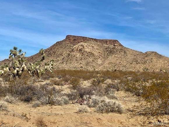 39.75 Acres of Land for Sale in Yucca, Arizona