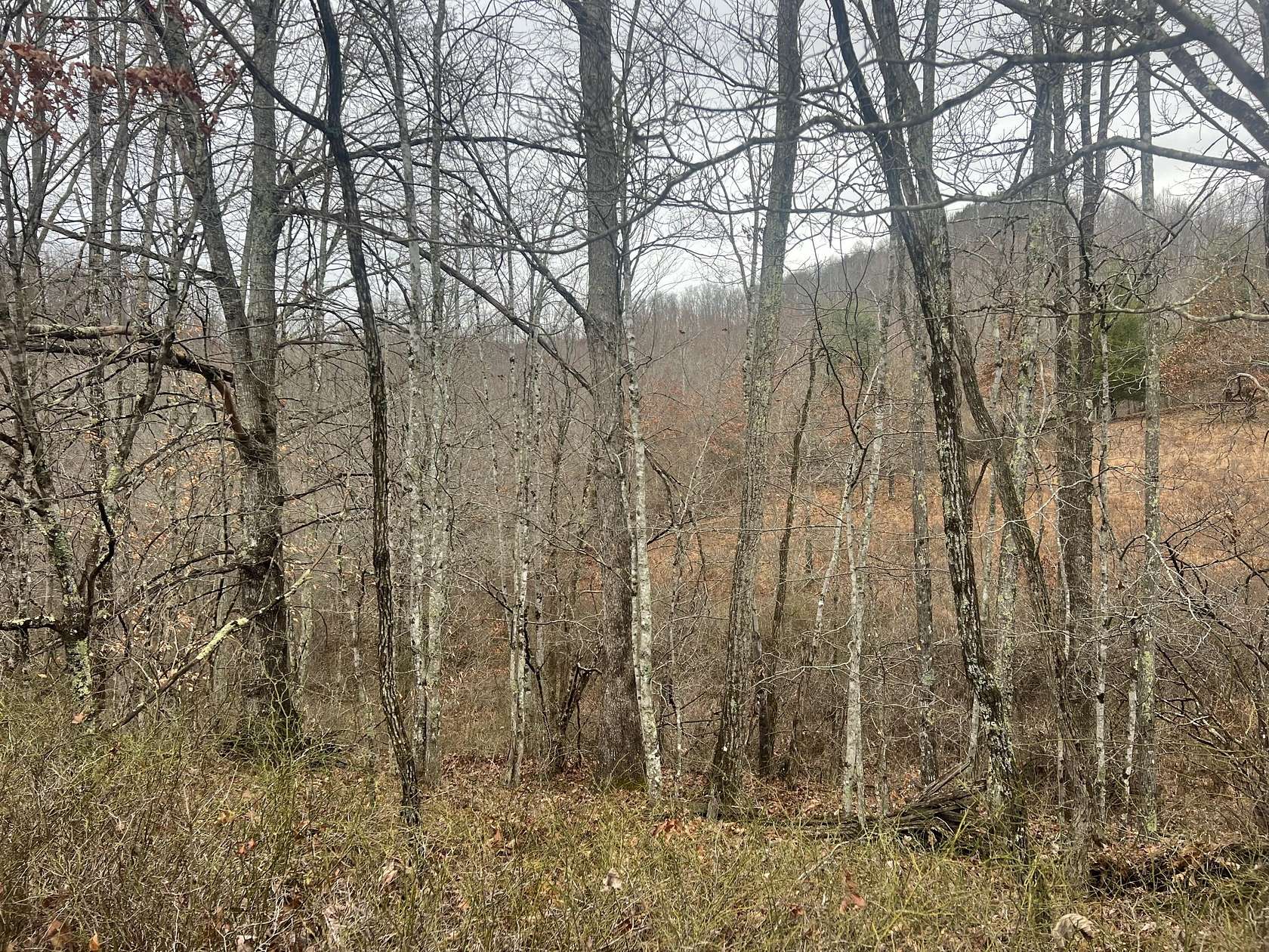 27.57 Acres of Recreational Land for Sale in Alderson, West Virginia