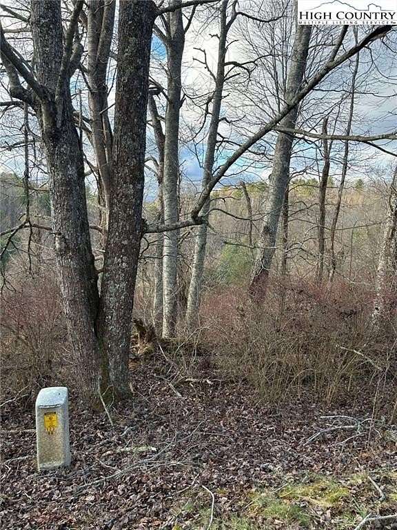 0.68 Acres of Land for Sale in Piney Creek, North Carolina