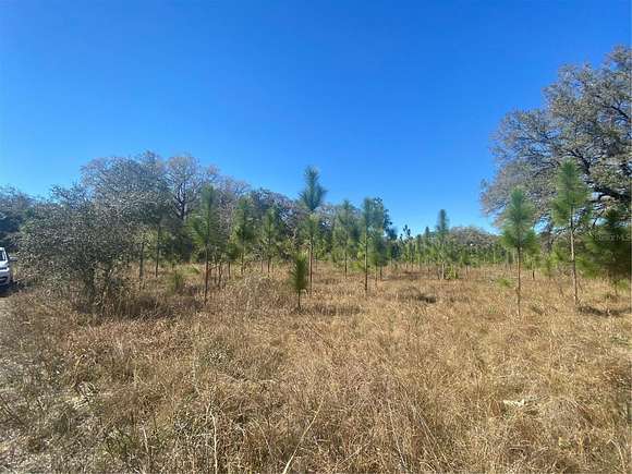 20 Acres of Land for Sale in Spring Hill, Florida