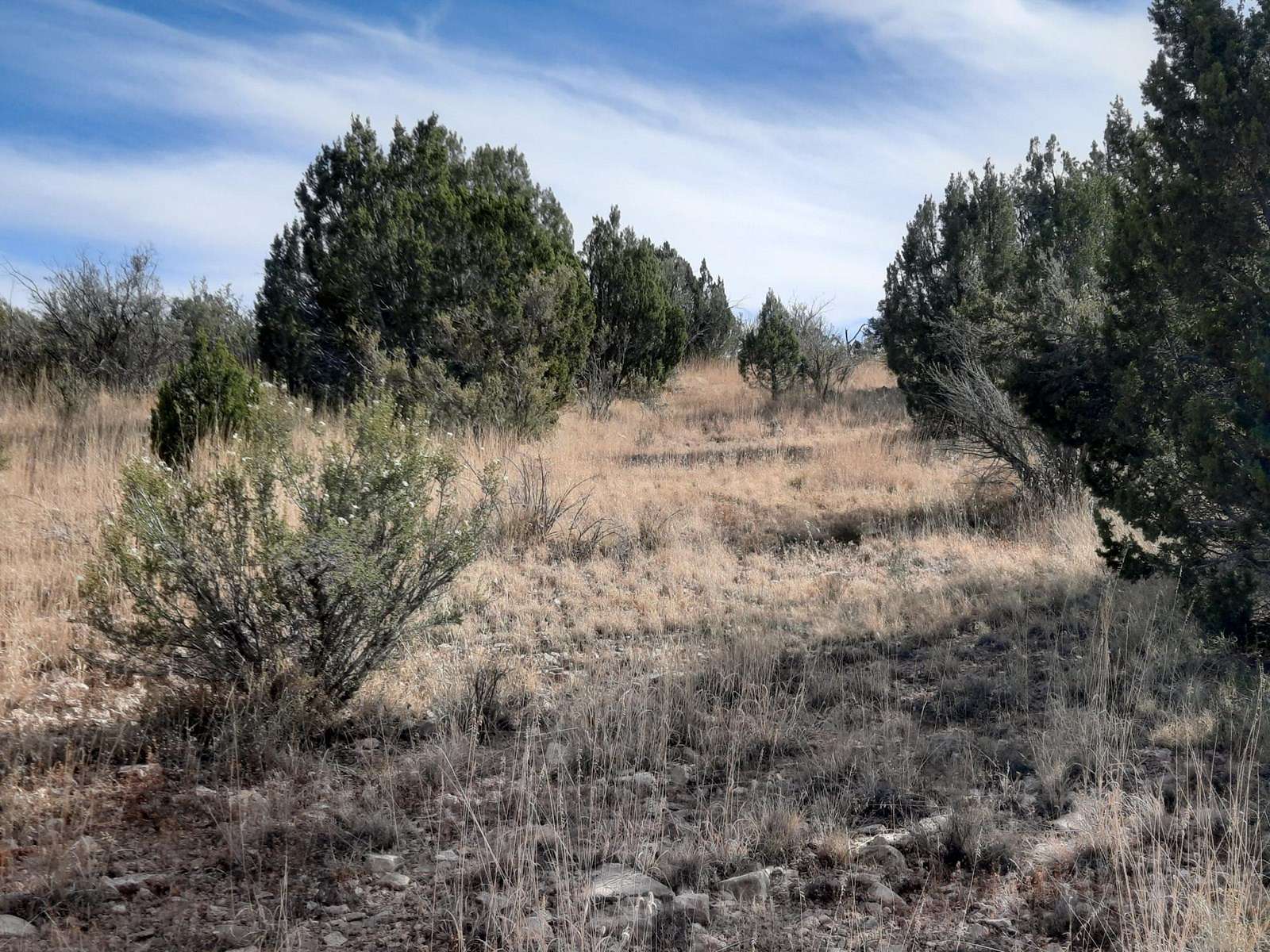 2.01 Acres of Land for Sale in Seligman, Arizona