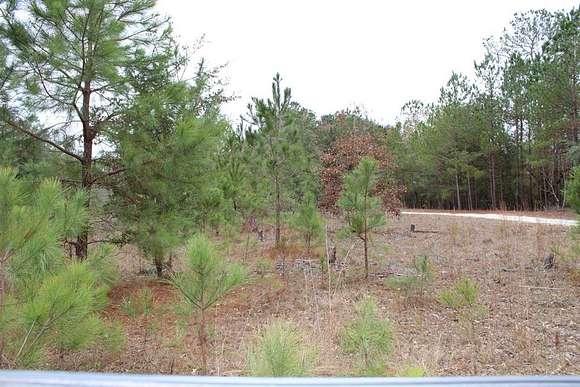 1 Acre of Residential Land for Sale in Elloree, South Carolina