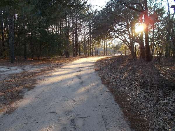 1 Acre of Land for Sale in Elloree, South Carolina