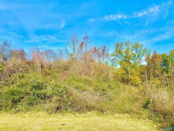 8.2 Acres of Land for Sale in Decatur, Alabama