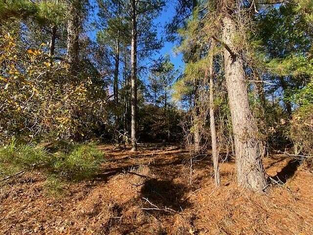 18.42 Acres of Land for Sale in Cope, South Carolina