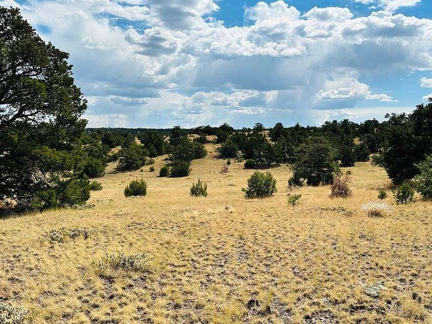 40 Acres of Recreational Land for Sale in Quemado, New Mexico