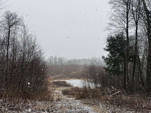 26.4 Acres of Land for Sale in Middletown, Connecticut