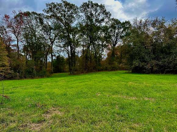 Acres Of Recreational Land Farm For Sale In Trout Louisiana Landsearch