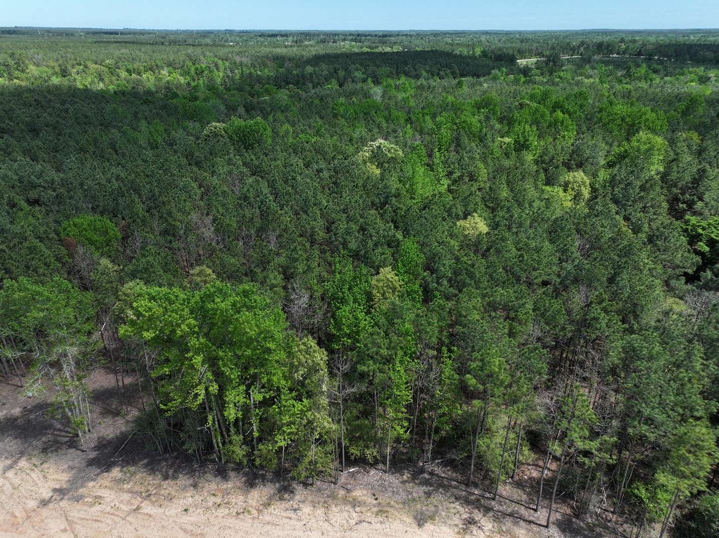 10 Acres of Recreational Land & Farm for Sale in Lovelady, Texas