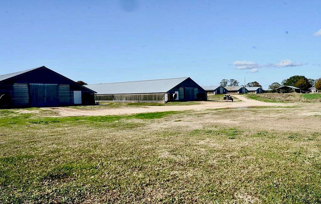 38 Acres of Agricultural Land with Home for Sale in Tylertown, Mississippi