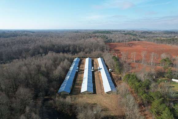 19 Acres of Land for Sale in Cornelia, Georgia