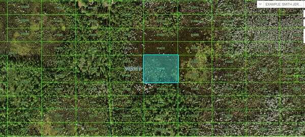 2 Acres of Land for Sale in Polk City, Florida