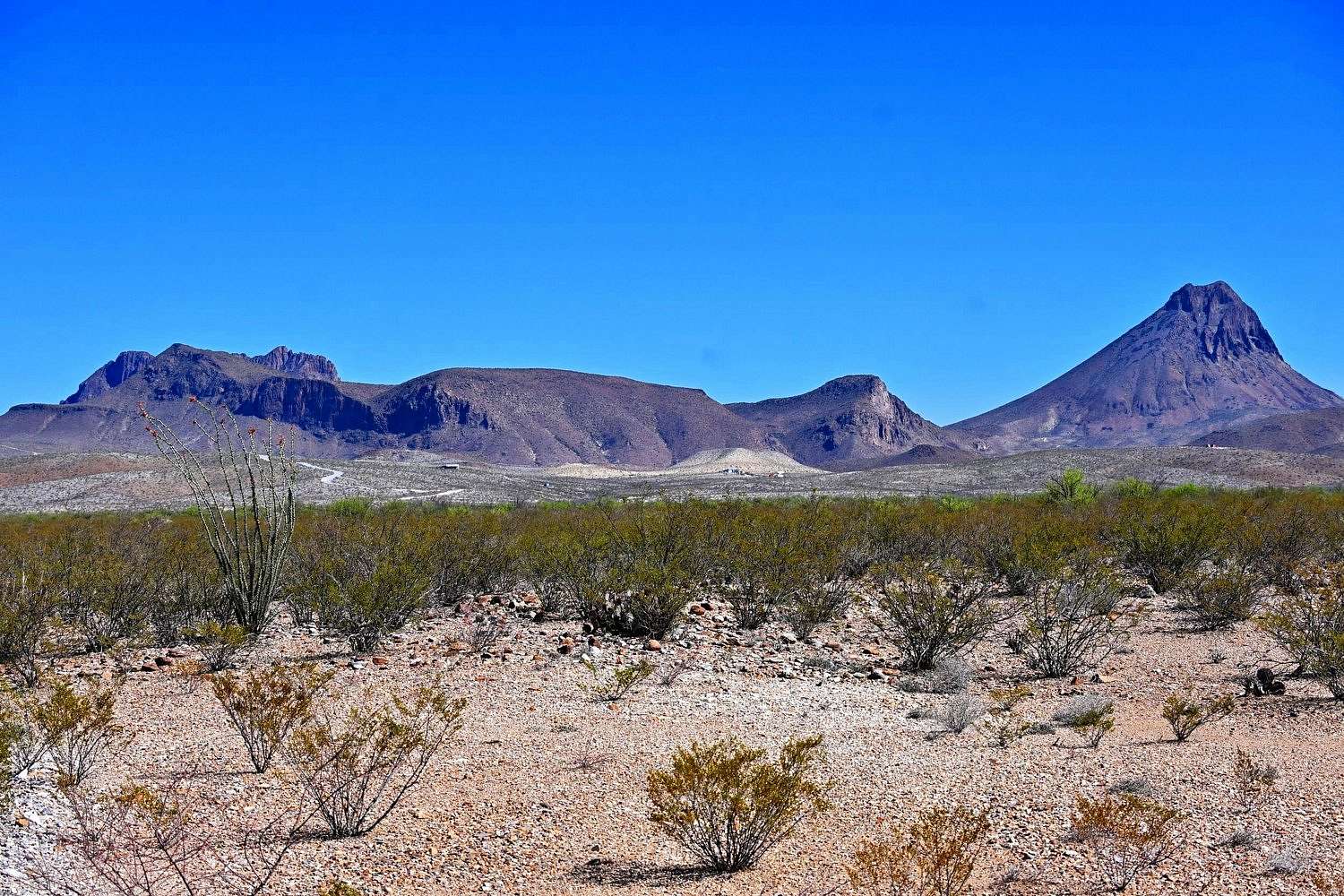 5 Acres of Residential Land for Sale in Terlingua, Texas
