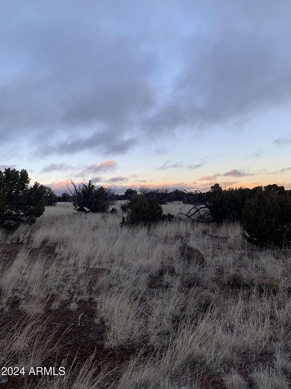 1.03 Acres of Residential Land for Sale in Concho, Arizona