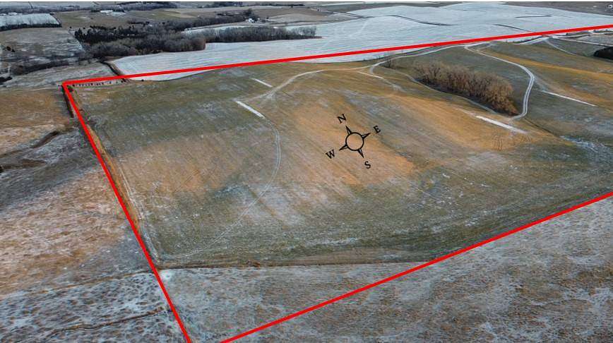 81 Acres of Land for Auction in Hoskins, Nebraska