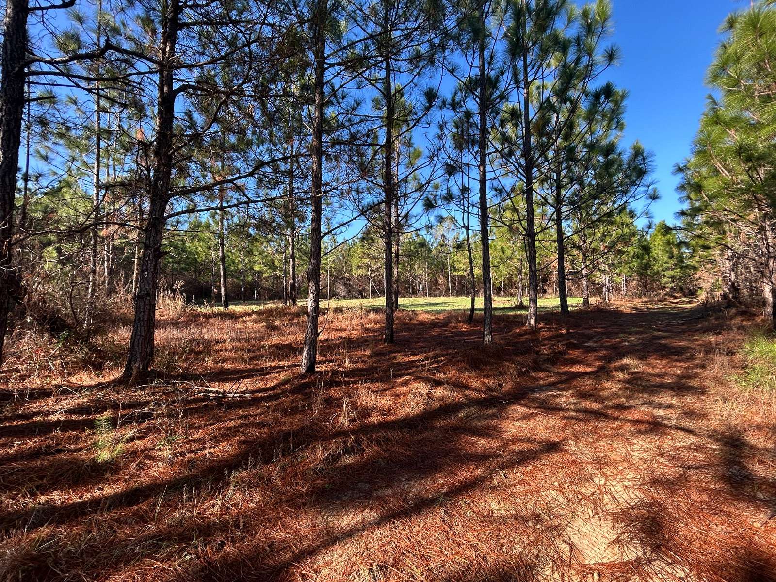 149 Acres of Recreational Land for Sale in Red Level, Alabama