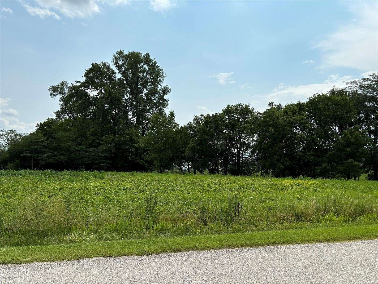 2.2 Acres of Residential Land for Sale in Pocahontas, Illinois