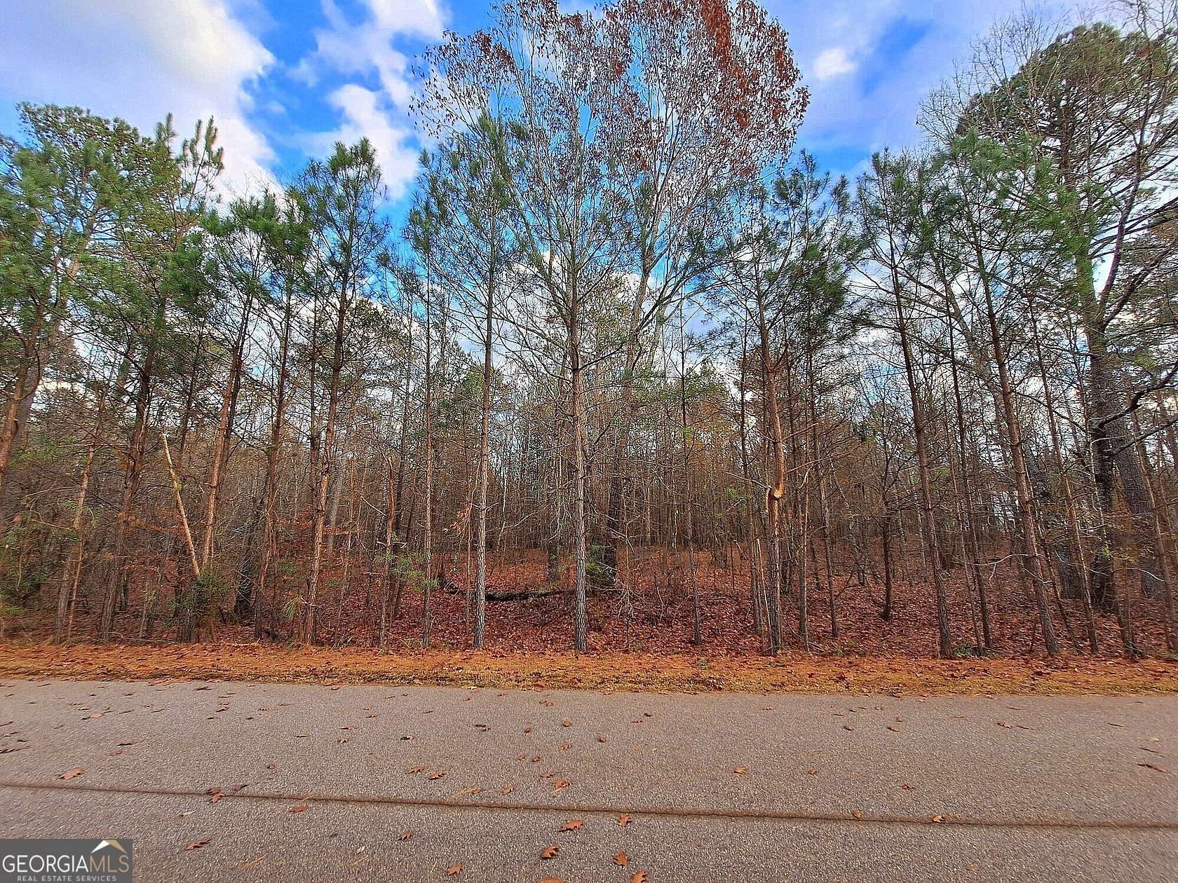 5.31 Acres of Land for Sale in Bishop, Georgia