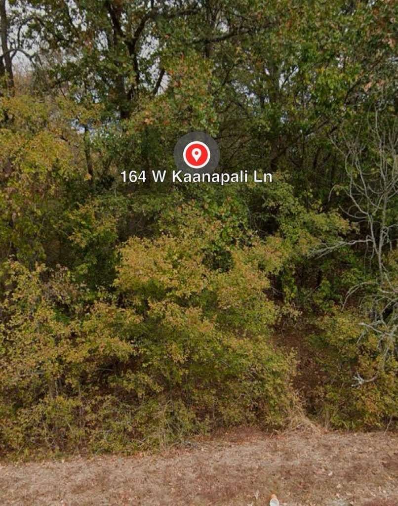 Land for Sale in Bastrop, Texas